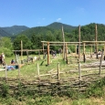 IMG_0909.JPG